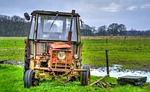 agriculture, farm, field