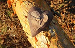heart, valentine's day, emotions