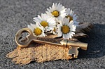 key, heart, daisy