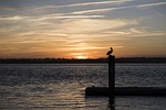 sunset, water, dawn