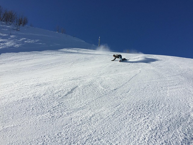Snowboard, Professionel, Udskæring