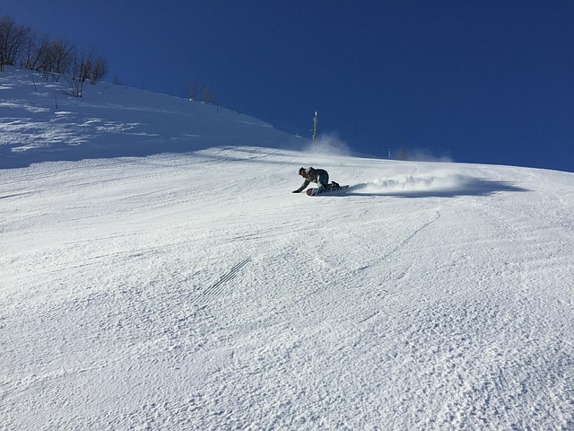 Snowboard, Professionel, Udskæring