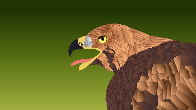 Vogel, Dieren In Het Wild, Natuur, Dier