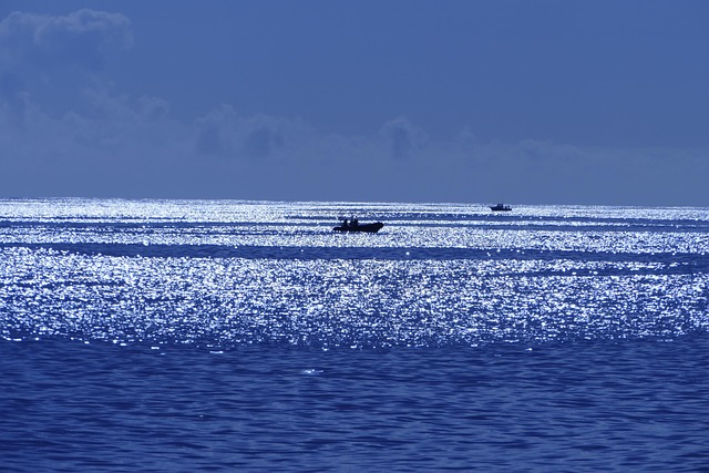 Mar, Azul, Naturaleza, Pescador
