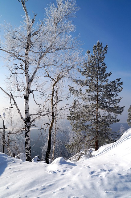 Neve, Inverno, Frio, Geada, Gelo, Rússia