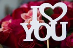 rose, roses, flower