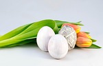 easter, nature, plant