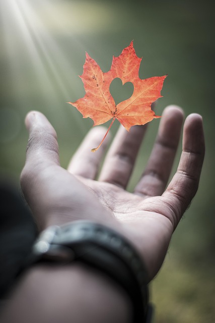 Free Outdoors Nature photo and picture
