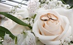 flower, wedding, nature