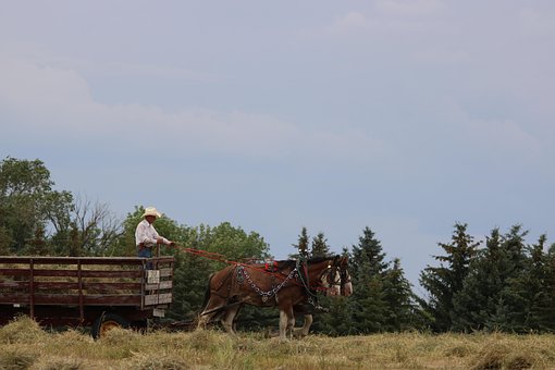 Draußen, Natur, Himmel, Bauernhof