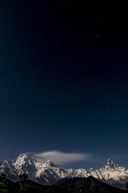 Free Snow Landscape photo and picture