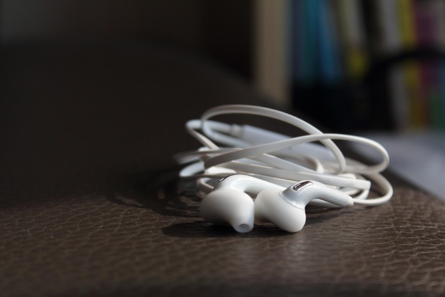 Download free HD stock image of Earphone Electronic Products Free Earphone Electronic Products photo and picture