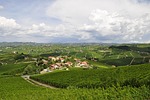 vineyards, landscape, hills