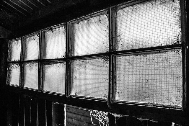 Free Window Picture Frame photo and picture