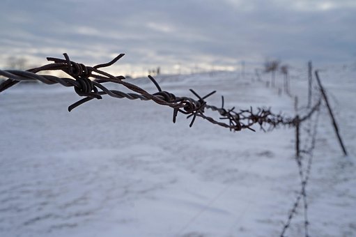Free Winter Frost photo and picture