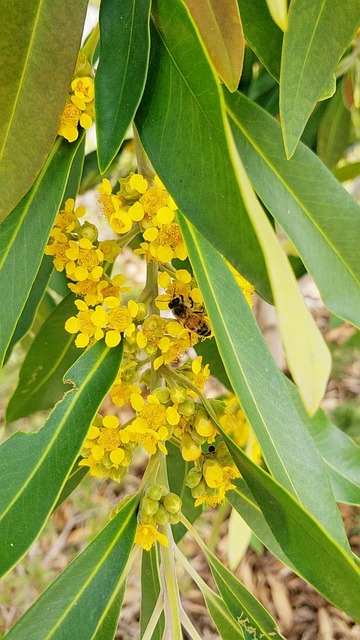 Free Flora Nature photo and picture