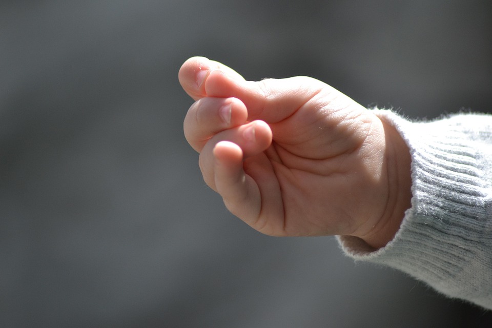 Main Bebe Enfant Photo Gratuite Sur Pixabay