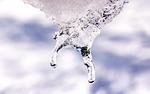icicle, ice, cold
