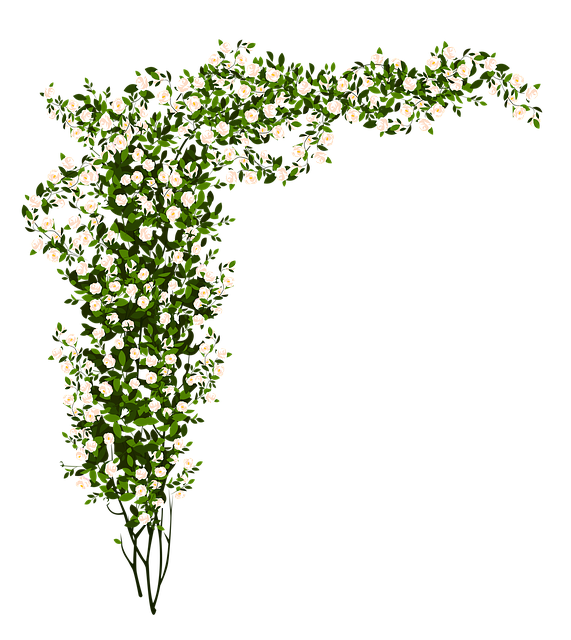 Free arrangement flowers green illustration