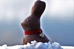 bunny girl, easter, chocolate