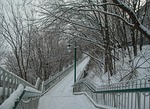 winter, snow, frost