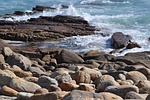 water, sea, seashore