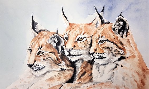 ç¹å¾´, ä¸, ä¸å¹, èªç¶, ãã¬ãã¿ã¼, ç£, ç«, çµµç», æ°´å½©, ã¢ã¼ã