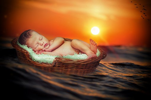 Free Creation Nature photo and picture