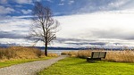 lake constance, seat, immenstaad nature