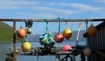 travel, lake, boje