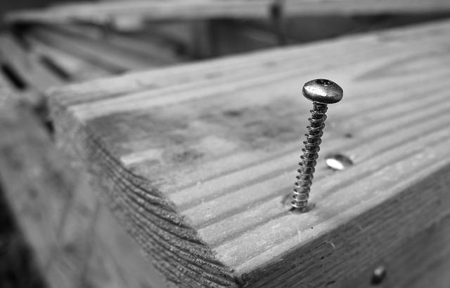 Scrrew Thread Screw Thread Head - Free photo on Pixabay - Pixabay