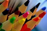 color, design, plant
