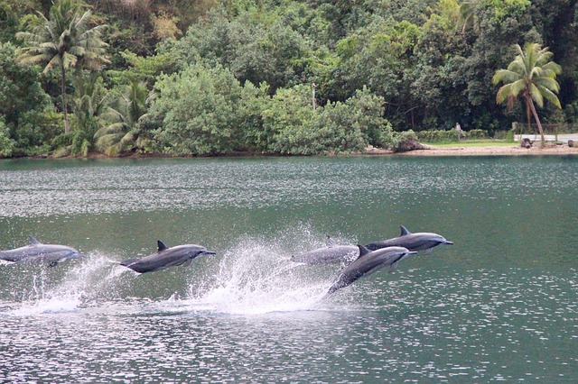 Free Waters Nature photo and picture