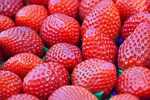 food, nobody, fruit
