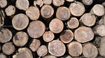 firewood, background, stake