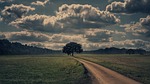 away, nature, landscape