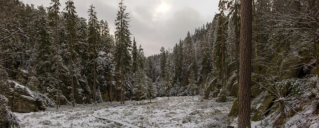 Free Nature Snow photo and picture