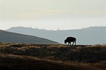 landscape, outdoors, horizontal plane