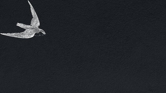 Download free HD stock image of Wall Paper Birds Free wall paper birds tissue illustration