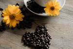flower, plant, the drink