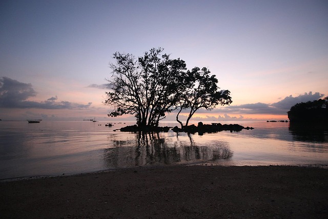 Free Sunset Water photo and picture