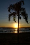 beach, side, sand