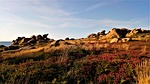 landscape, panoramic, nature