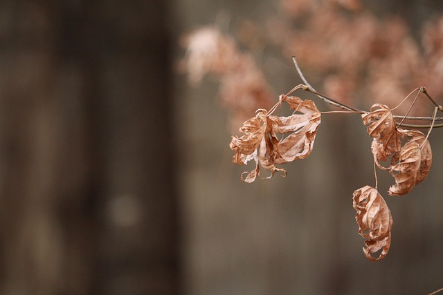 Free Nature Outdoors photo and picture