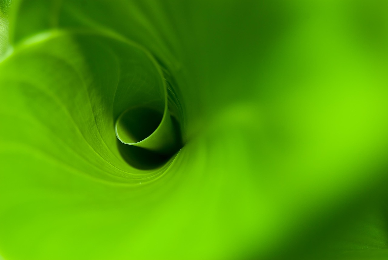 Abstract - free online jigsaw puzzle photo
