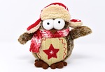 owl, teddy bear, stuffed animal