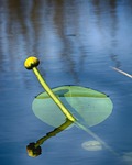 body of water, nature, no person