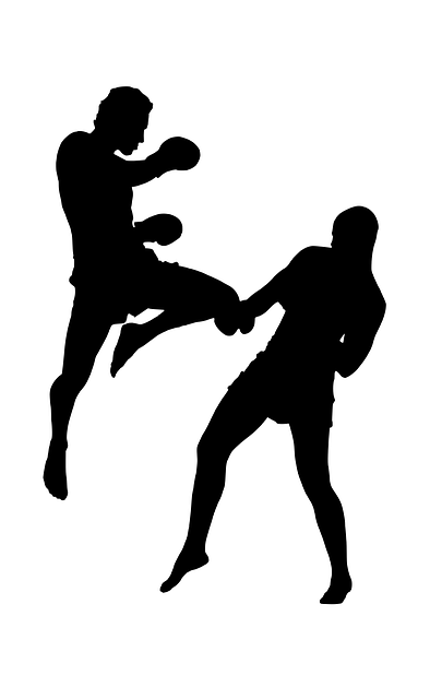 Free silhouette fight sports illustration