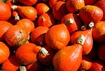 autumn, pumpkin, fruit