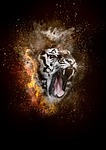 tiger, fire, smoke